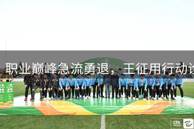 职业巅峰急流勇退，王征用行动诠释什么是人生大智慧